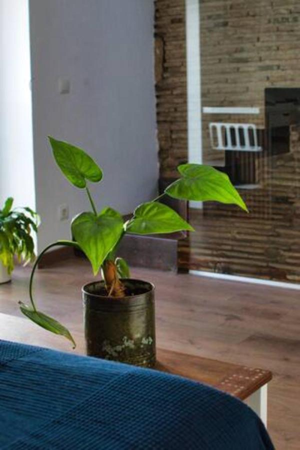 Casa Particular Mediterranea En El Centrico Casco Antiguo A Un Paso Del Mar Denia Ngoại thất bức ảnh